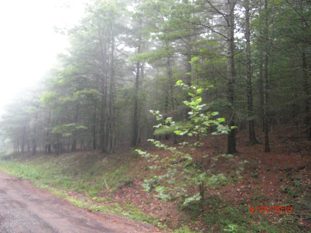 06-25_Back_from Brown-Sea_005.jpg